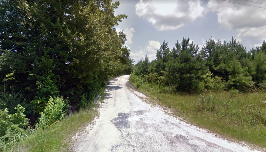 Street view of dirt road surrounded by wilderness.