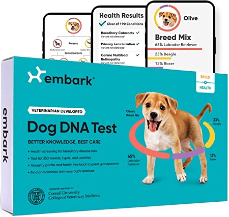 Stock image of Embark Dog DNA Test kit box.