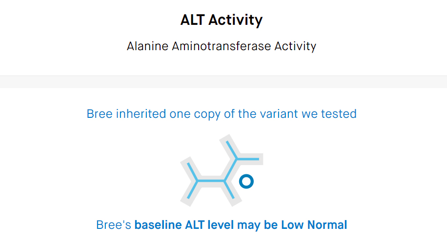 Infographic from Embark dog DNA test that shows Bree's baseline ALT activity may be low, but normal.