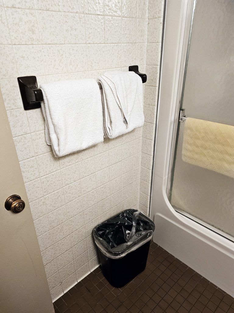 Interior view of guest bathroom at South of the Border Motor Inn, showing clean, folded towels neatly hanging next to the shower door.